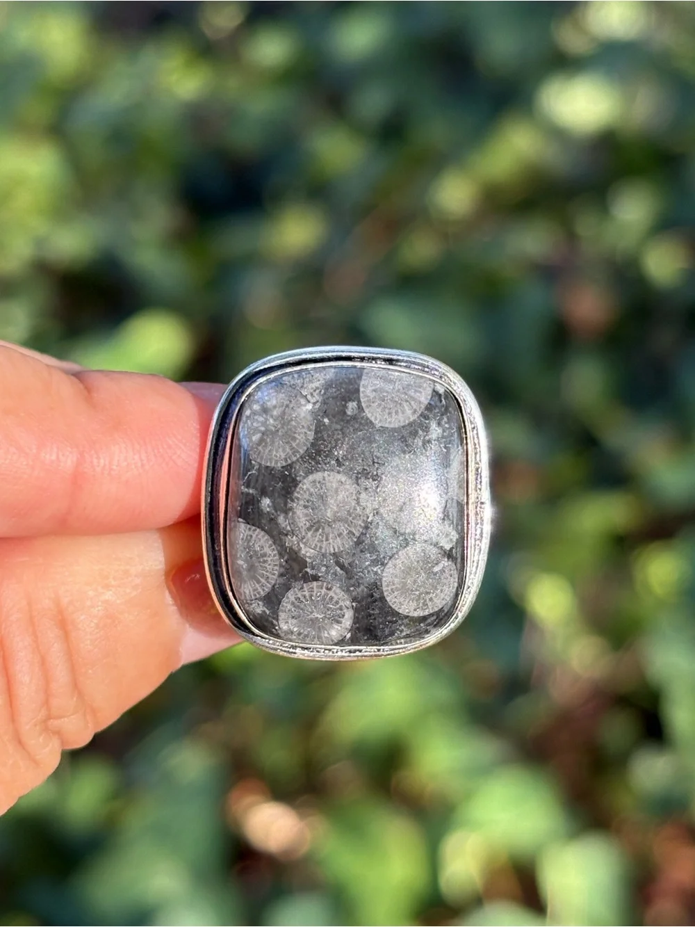 SIZE 12 Square Black Coral in Silver
